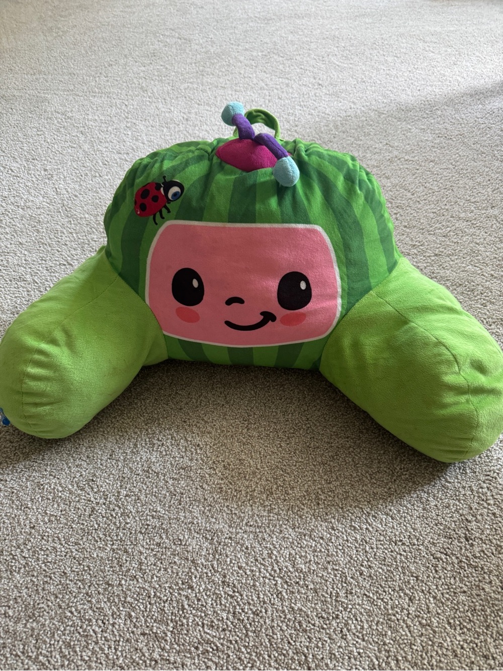 Plush Watermelon Character Support Pillow - Green & Pink